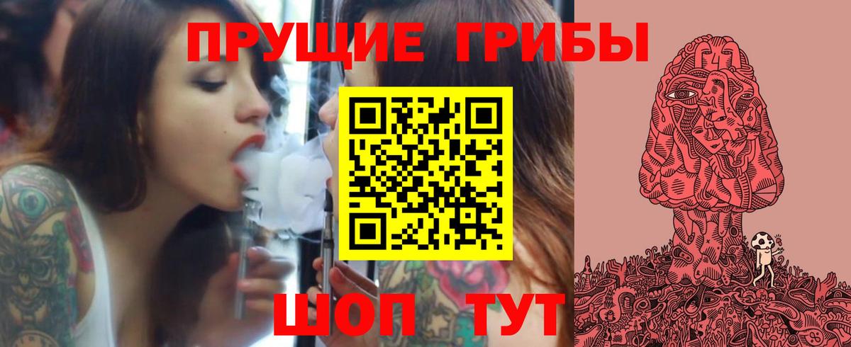 Гай  Псилоцибиновые грибы Psilocybe  наркотики  Вход с VPN 
