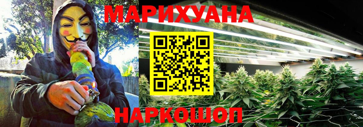 Гай  Каннабис гибрид  Каннабис индика  Вход с VPN  Марихуана ГИДРОПОН 